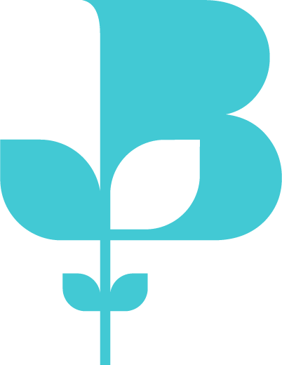 NI Chamber brand logo teal